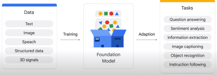 Foundation Model